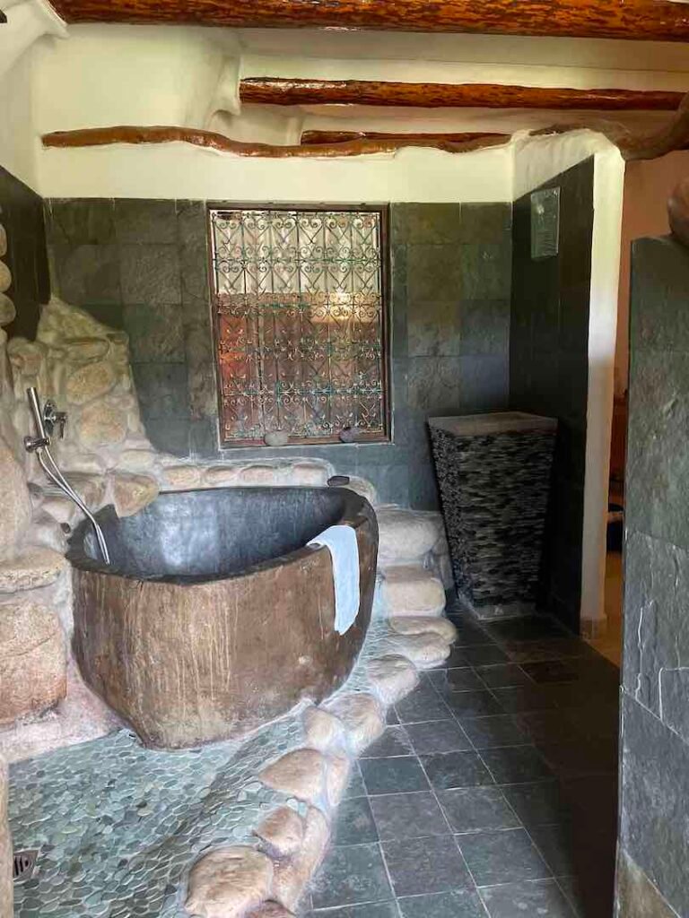 Domaine de Piscia - Eucalyptus3