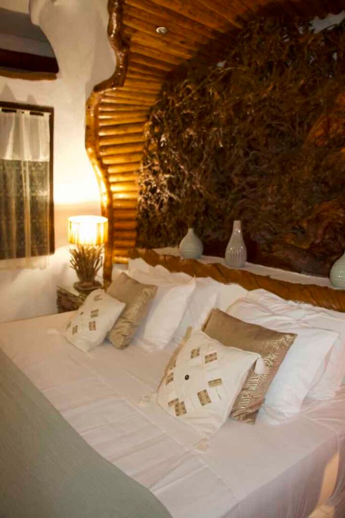 Domaine de Piscia - Eucalyptus7